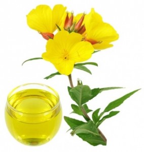 evening primrose oil